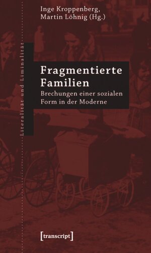 Fragmentierte Familien: Brechungen einer sozialen Form in der Moderne