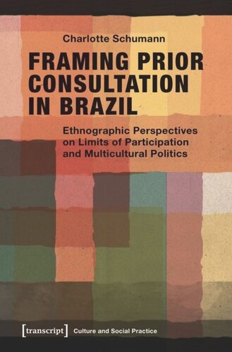 Framing Prior Consultation in Brazil: Ethnographic Perspectives on Limits of Participation and Multicultural Politics