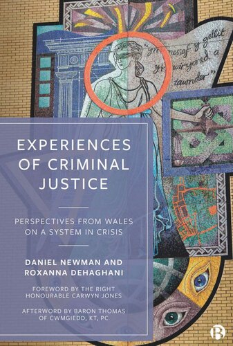 Experiences of Criminal Justice: Perspectives From Wales on a System in Crisis