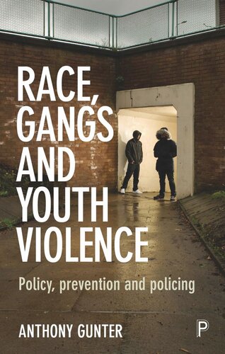 Race, Gangs and Youth Violence: Policy, Prevention and Policing