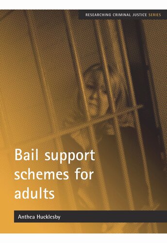 Bail support schemes for adults