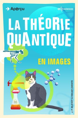 La théorie quantique en images
