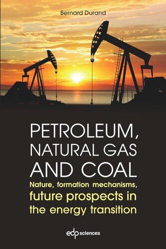 Petroleum, natural gas and coal: Nature, formation mechanisms, future prospects in the energy transition
