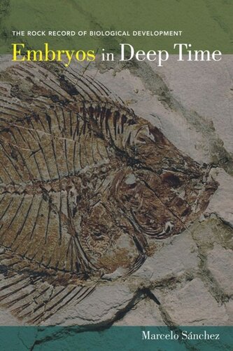 Embryos in Deep Time: The Rock Record of Biological Development