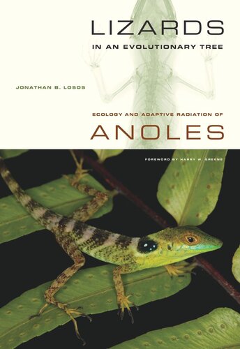 Lizards in an Evolutionary Tree: Ecology and Adaptive Radiation of Anoles