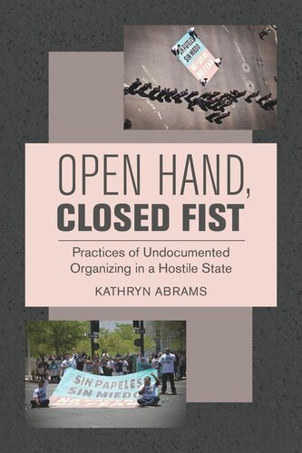 Open Hand, Closed Fist: Practices of Undocumented Organizing in a Hostile State