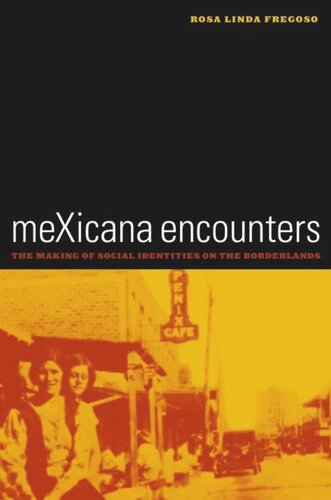 meXicana Encounters: The Making of Social Identities on the Borderlands