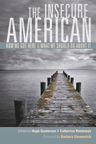 The Insecure American: How We Got Here and What We Should Do About It