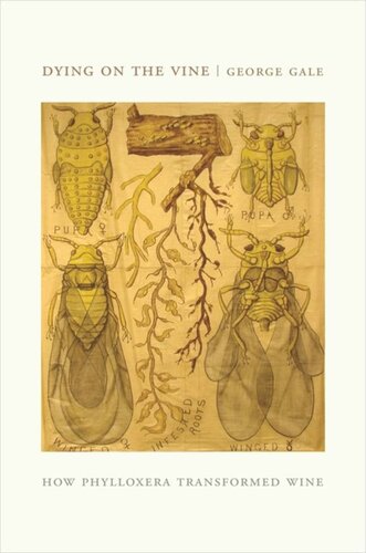 Dying on the Vine: How Phylloxera Transformed Wine