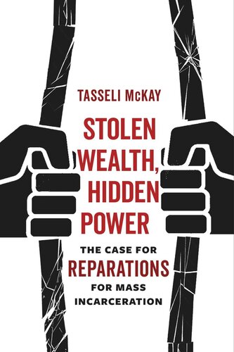 Stolen Wealth, Hidden Power: The Case for Reparations for Mass Incarceration