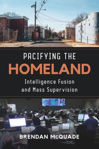 Pacifying the Homeland: Intelligence Fusion and Mass Supervision