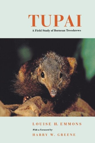 Tupai: A Field Study of Bornean Treeshrews