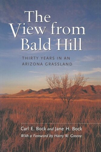 The View from Bald Hill: Thirty Years in an Arizona Grassland