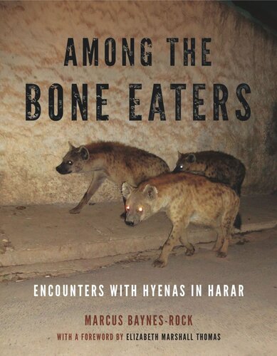 Among the Bone Eaters: Encounters with Hyenas in Harar