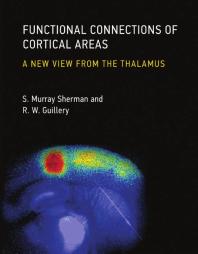 Functional Connections of Cortical Areas: A New View from the Thalamus