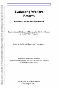 Evaluating Welfare Reform: A Framework and Review of Current Work, Interim Report