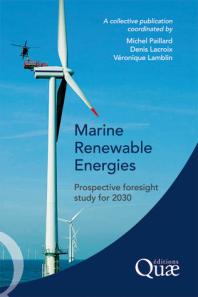 Marine Renewable Energies: Prospective Foresight Study For 2030