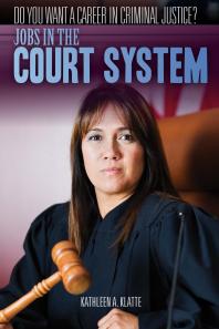 Jobs in the Court System