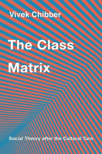 The Class Matrix: Social Theory after the Cultural Turn