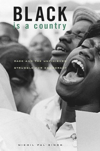 Black Is a Country: Race and the Unfinished Struggle for Democracy