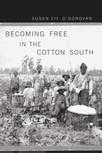 Becoming Free in the Cotton South