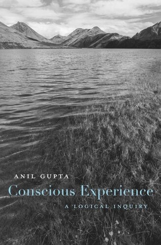 Conscious Experience: A Logical Inquiry