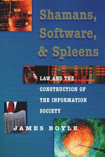 Shamans, Software, and Spleens: Law and the Construction of the Information Society