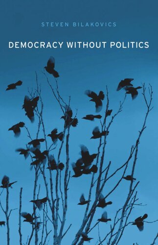 Democracy without Politics