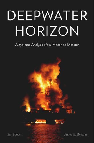 Deepwater Horizon: A Systems Analysis of the Macondo Disaster