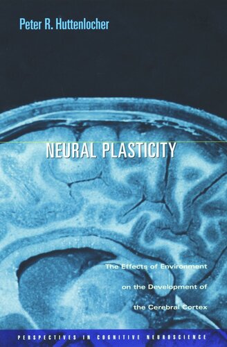 Neural Plasticity: The Effects of Environment on the Development of the Cerebral Cortex
