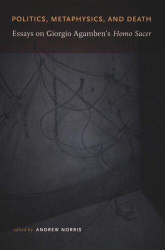 Politics, Metaphysics, and Death: Essays on Giorgio Agamben's Homo Sace