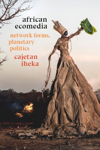 African Ecomedia: Network Forms, Planetary Politics