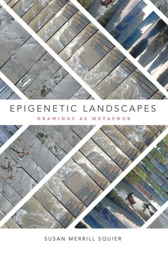Epigenetic Landscapes: Drawings as Metaphor