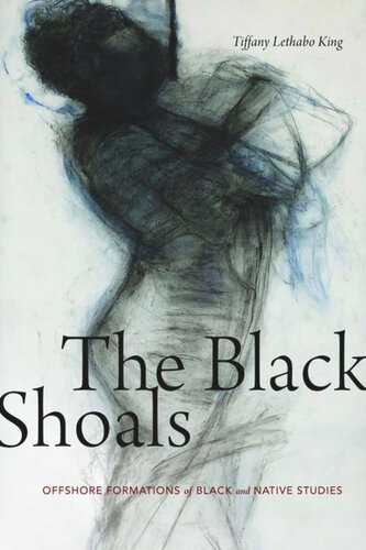 The Black Shoals: Offshore Formations of Black and Native Studies