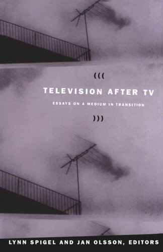 Television after TV: Essays on a Medium in Transition