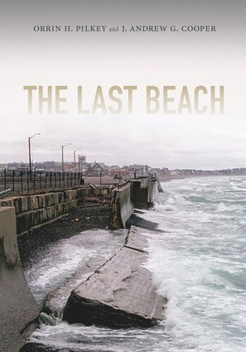 The Last Beach