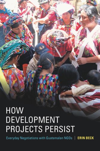 How Development Projects Persist: Everyday Negotiations with Guatemalan NGOs