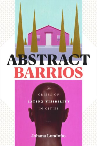 Abstract Barrios: The Crises of Latinx Visibility in Cities