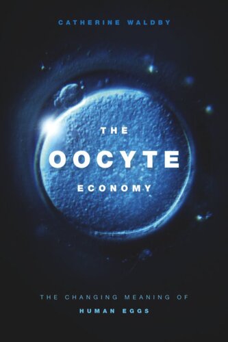 The Oocyte Economy: The Changing Meaning of Human Eggs