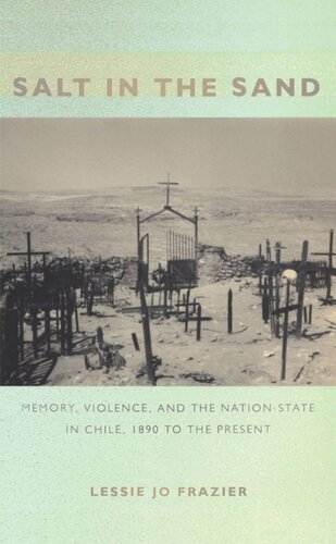 Salt in the Sand: Memory, Violence, and the Nation-State in Chile, 1890 to the Present