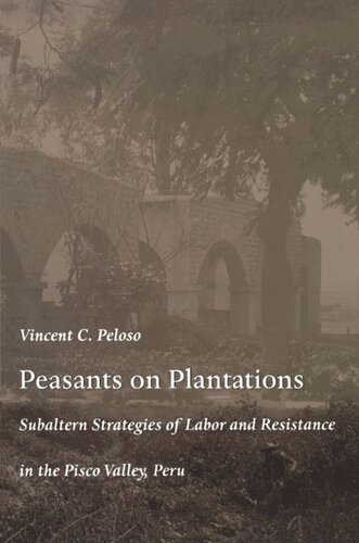 Peasants on Plantations: Subaltern Strategies of Labor and Resistance in the Pisco Valley, Peru