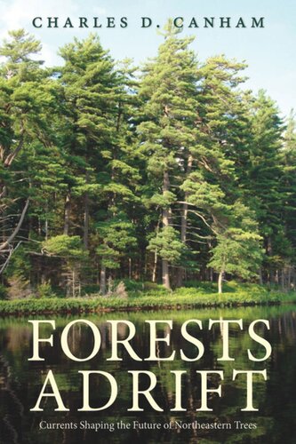 Forests Adrift: Currents Shaping the Future of Northeastern Trees