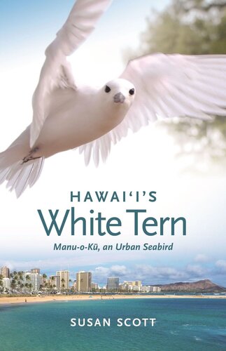 Hawai‘i’s White Tern: Manu-o-Kū, an Urban Seabird