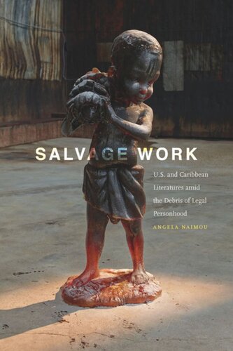 Salvage Work: U.S. and Caribbean Literatures amid the Debris of Legal Personhood