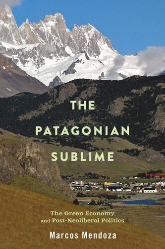 The Patagonian Sublime: The Green Economy and Post-Neoliberal Politics