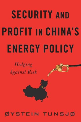 Security and Profit in China’s Energy Policy: Hedging Against Risk
