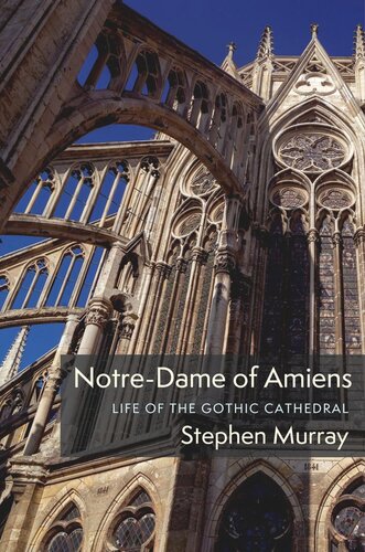 Notre-Dame of Amiens: Life of the Gothic Cathedral