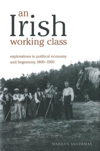 An Irish Working Class: Explorations in Political Economy and Hegemony, 1800-1950