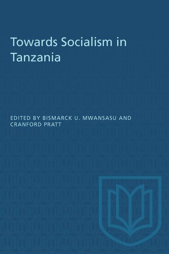 Towards Socialism in Tanzania