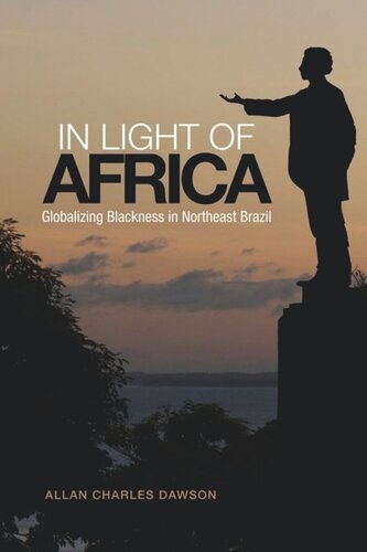 In Light of Africa: Globalizing Blackness in Northeast Brazil